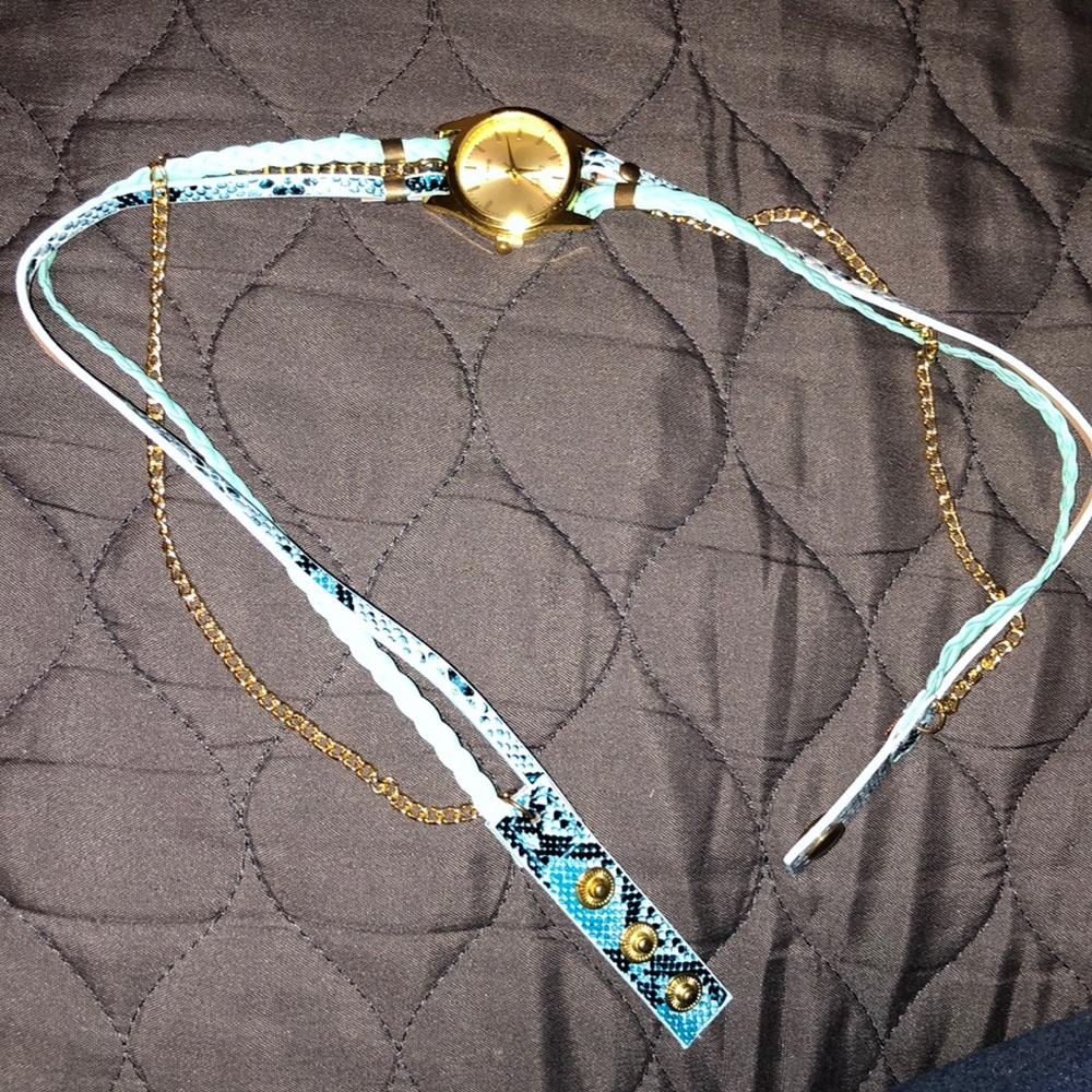 Watch bracelet